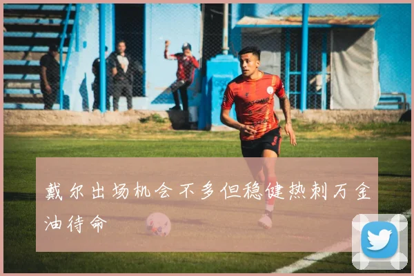 戴尔出场机会不多但稳健热刺万金油待命