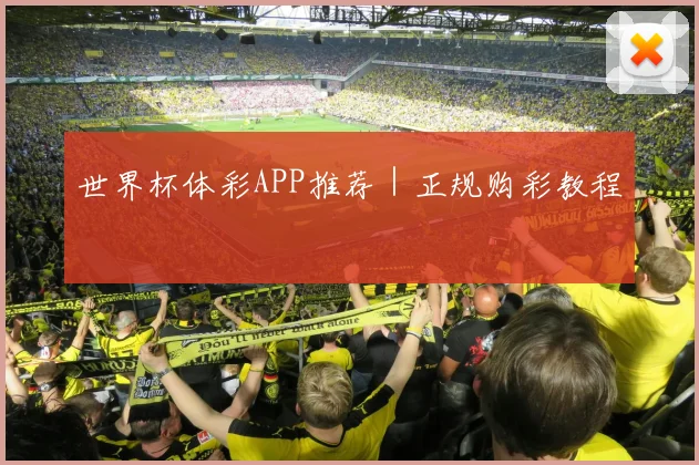 世界杯体彩APP推荐｜正规购彩教程