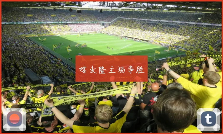 喀麦隆主场争胜
