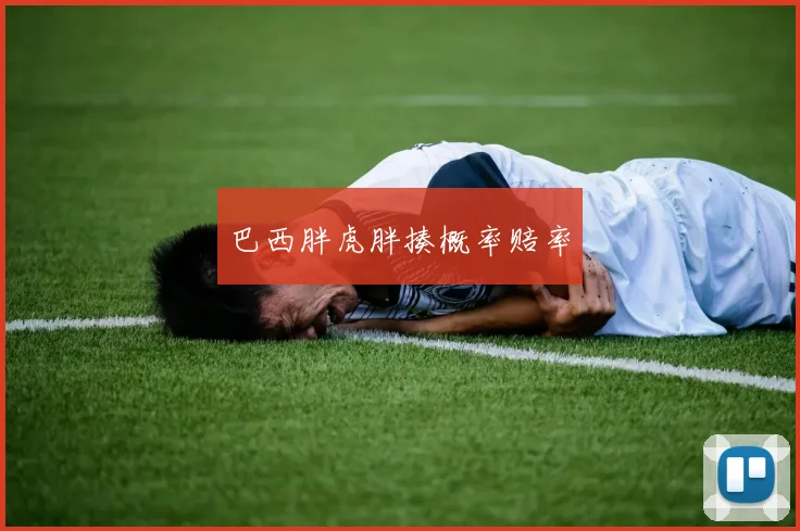 巴西胖虎胖揍概率赔率