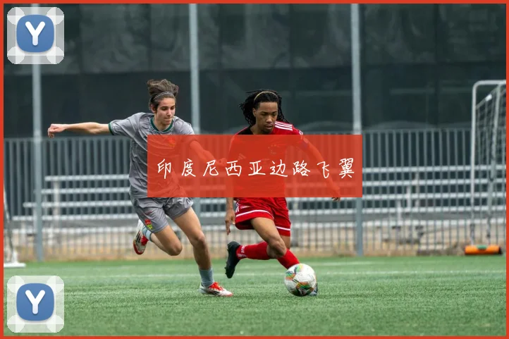 印度尼西亚边路飞翼