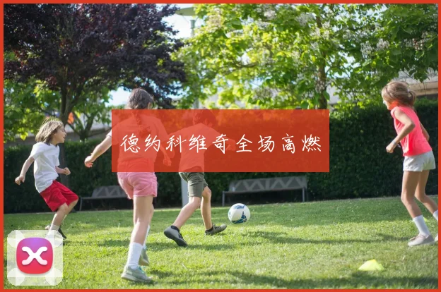 德约科维奇全场高燃