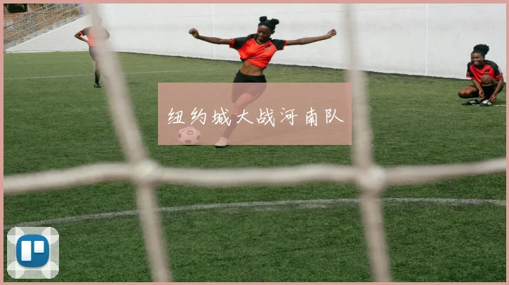 纽约城大战河南队
